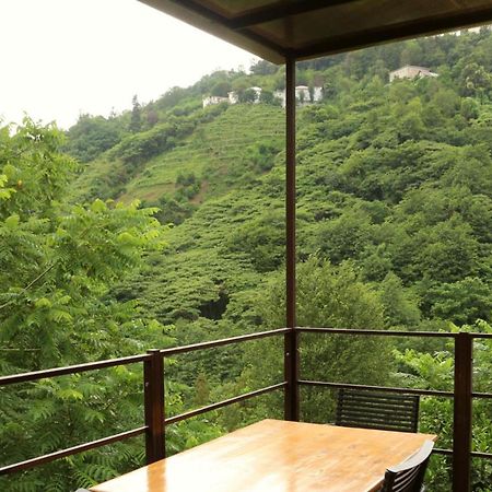 Modular House Green Zyland Y Batumi Exterior photo